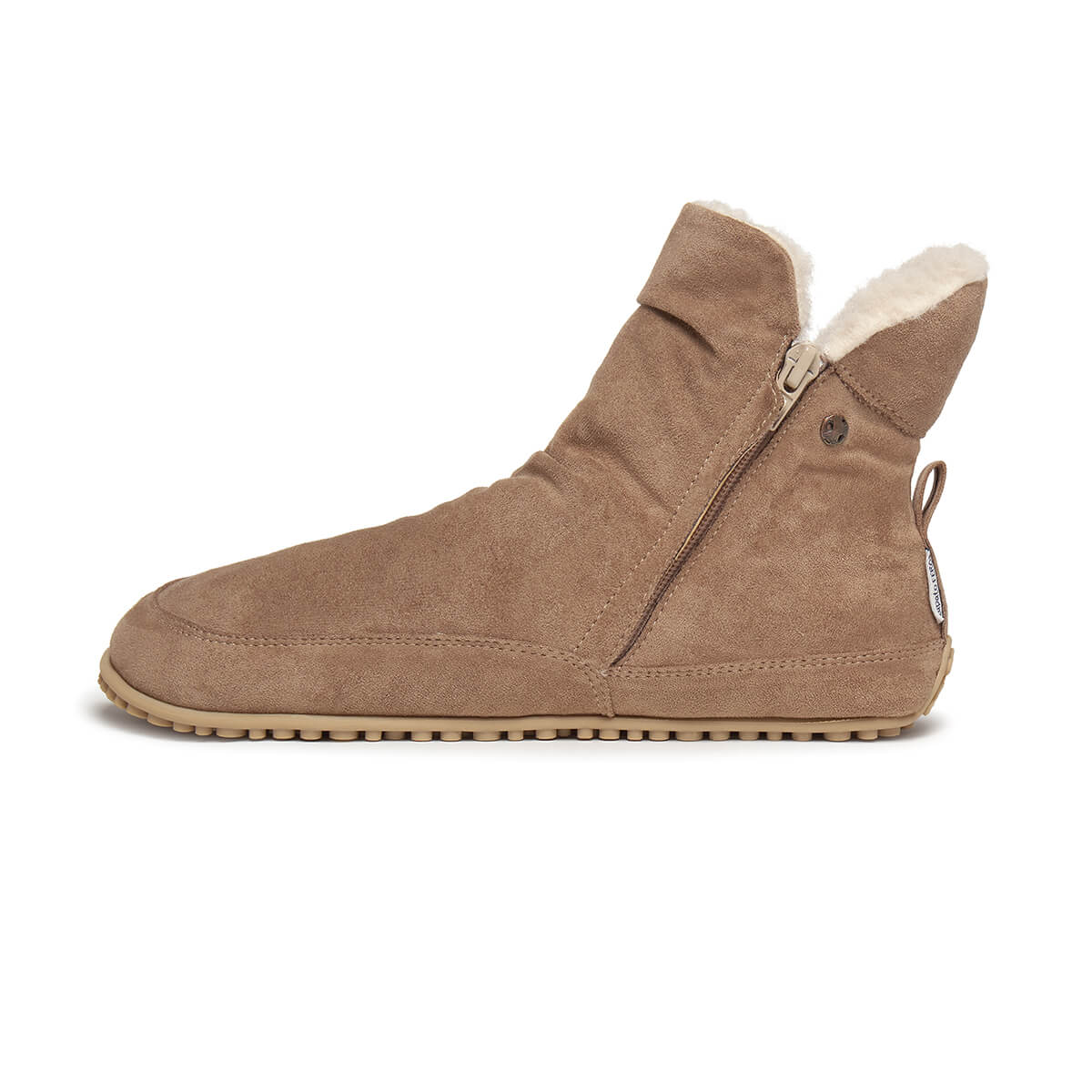 Chelva Adulto - Image 10