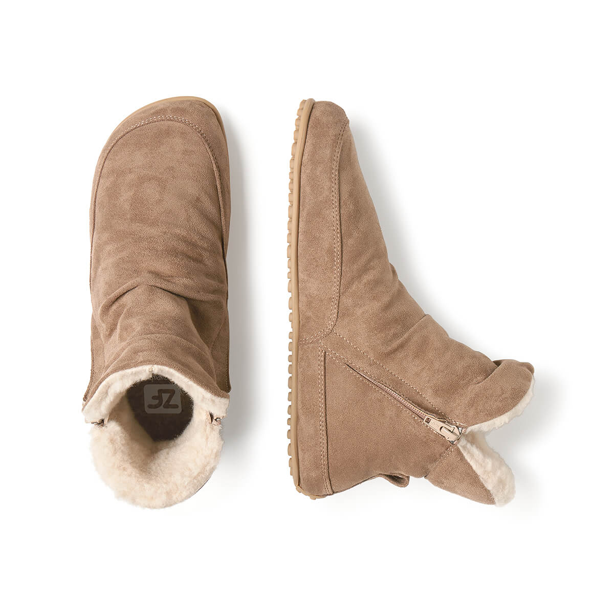 Chelva Adulto - Image 12