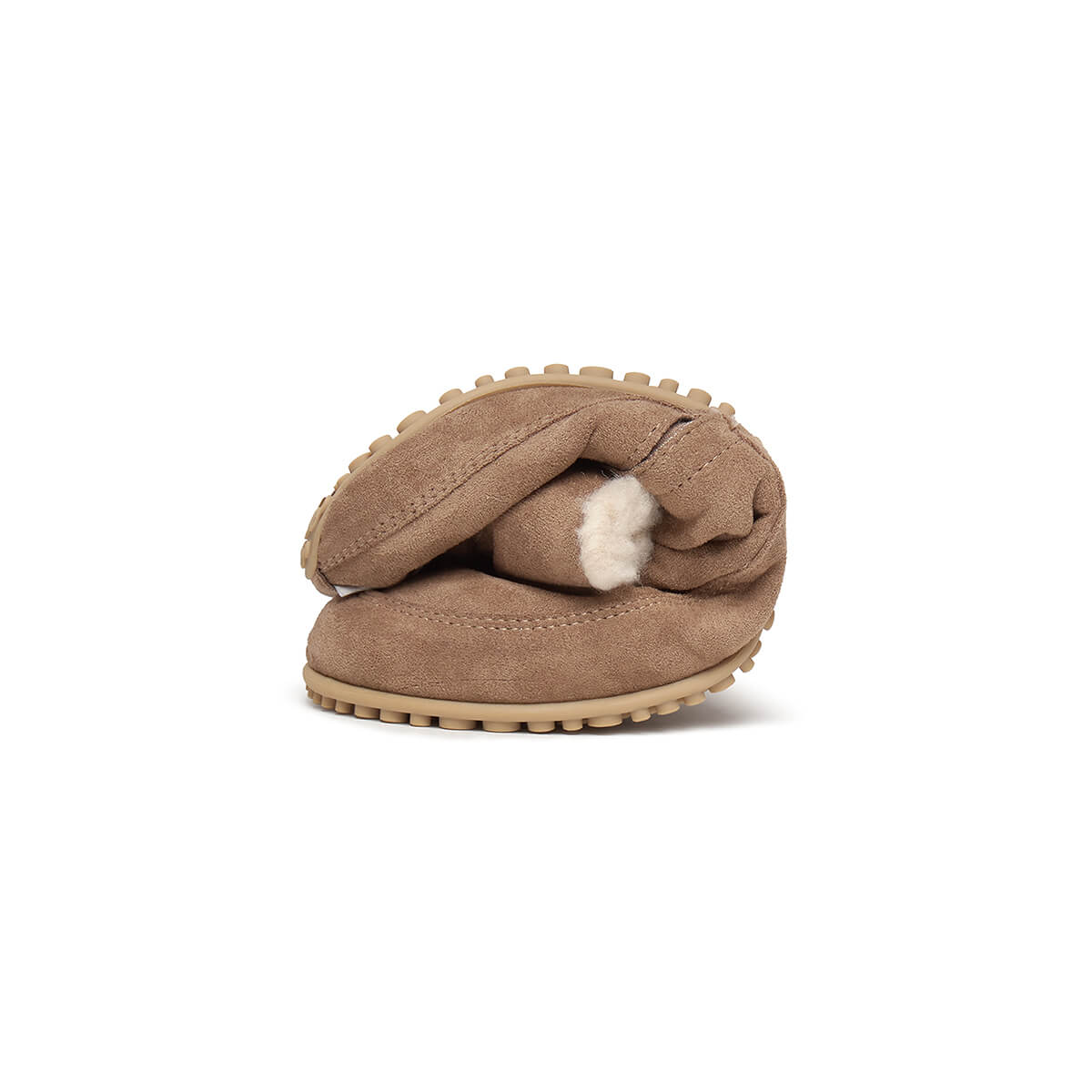 Chelva Adulto - Image 13