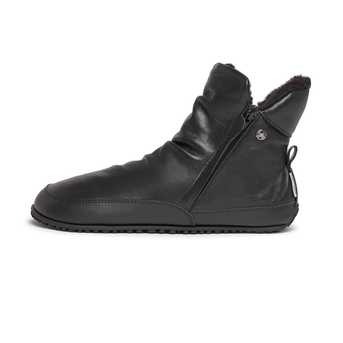 Chelva Adulto - Image 14