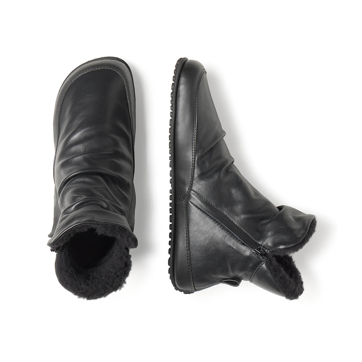 Chelva Adulto - Image 16