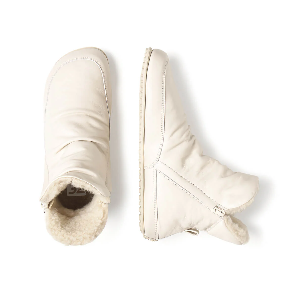 Chelva Adulto - Image 4