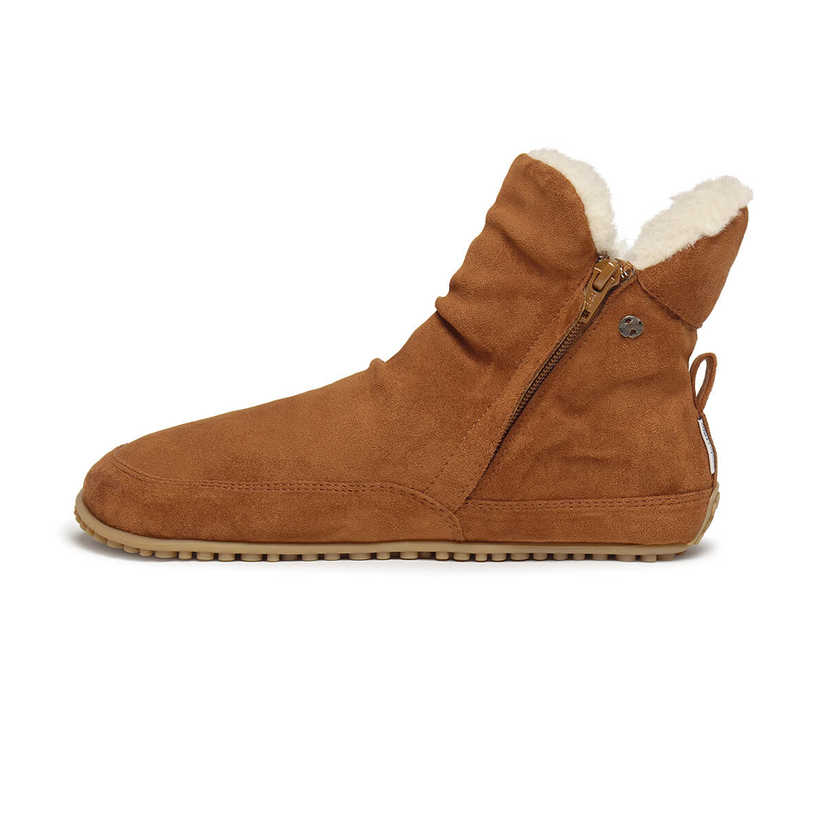 Chelva Adulto - Image 6