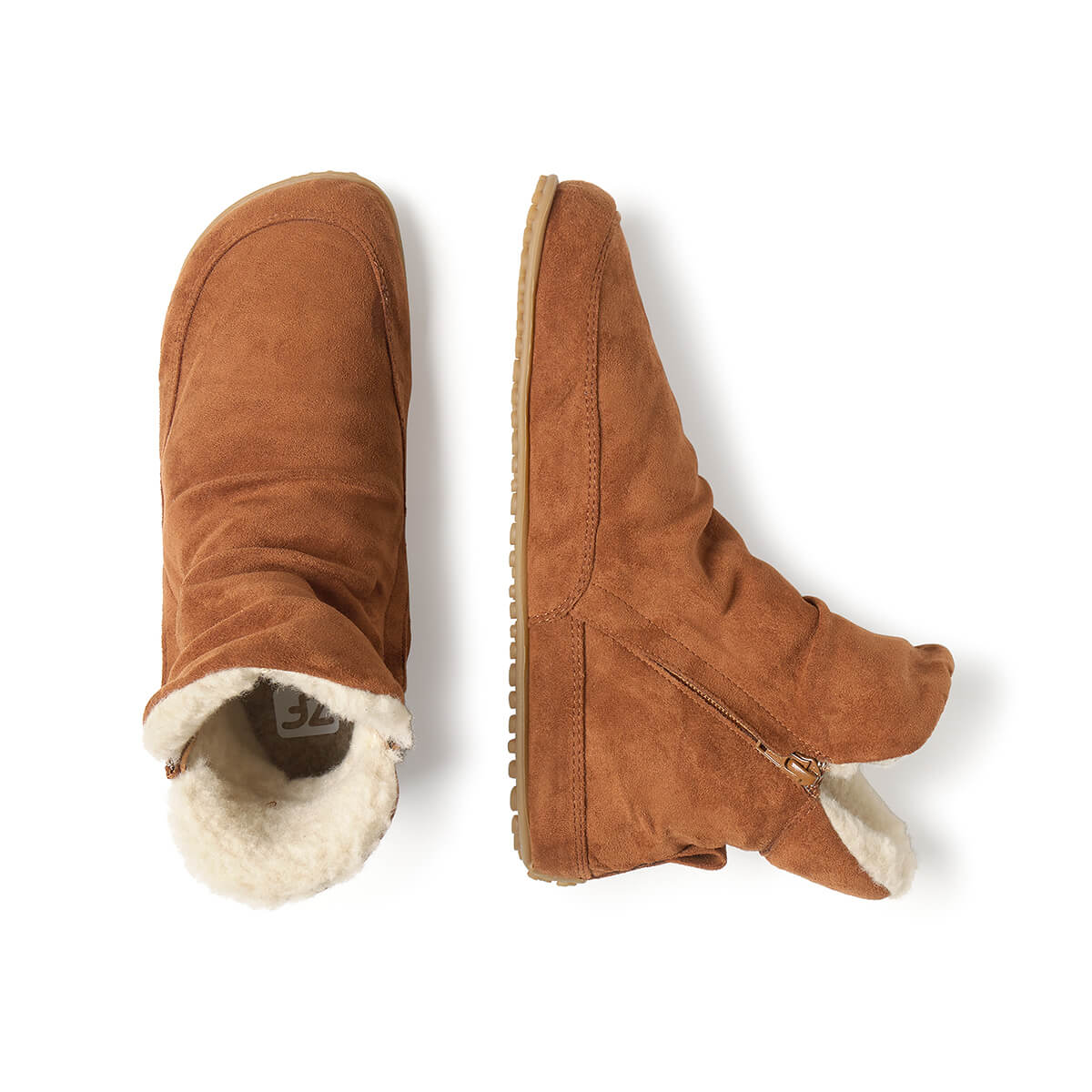 Chelva Adulto - Image 8