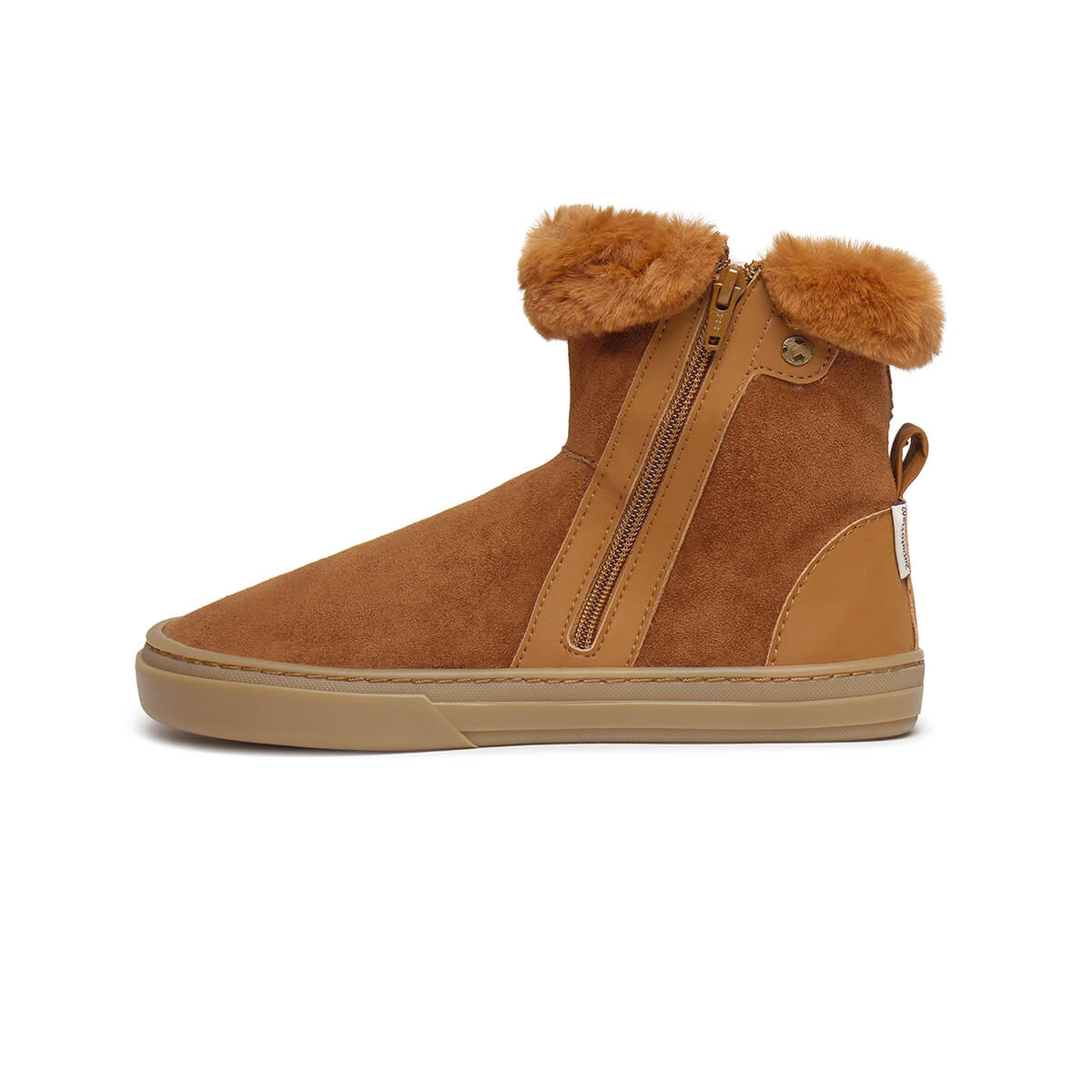 Alcoy Adulto - Image 18