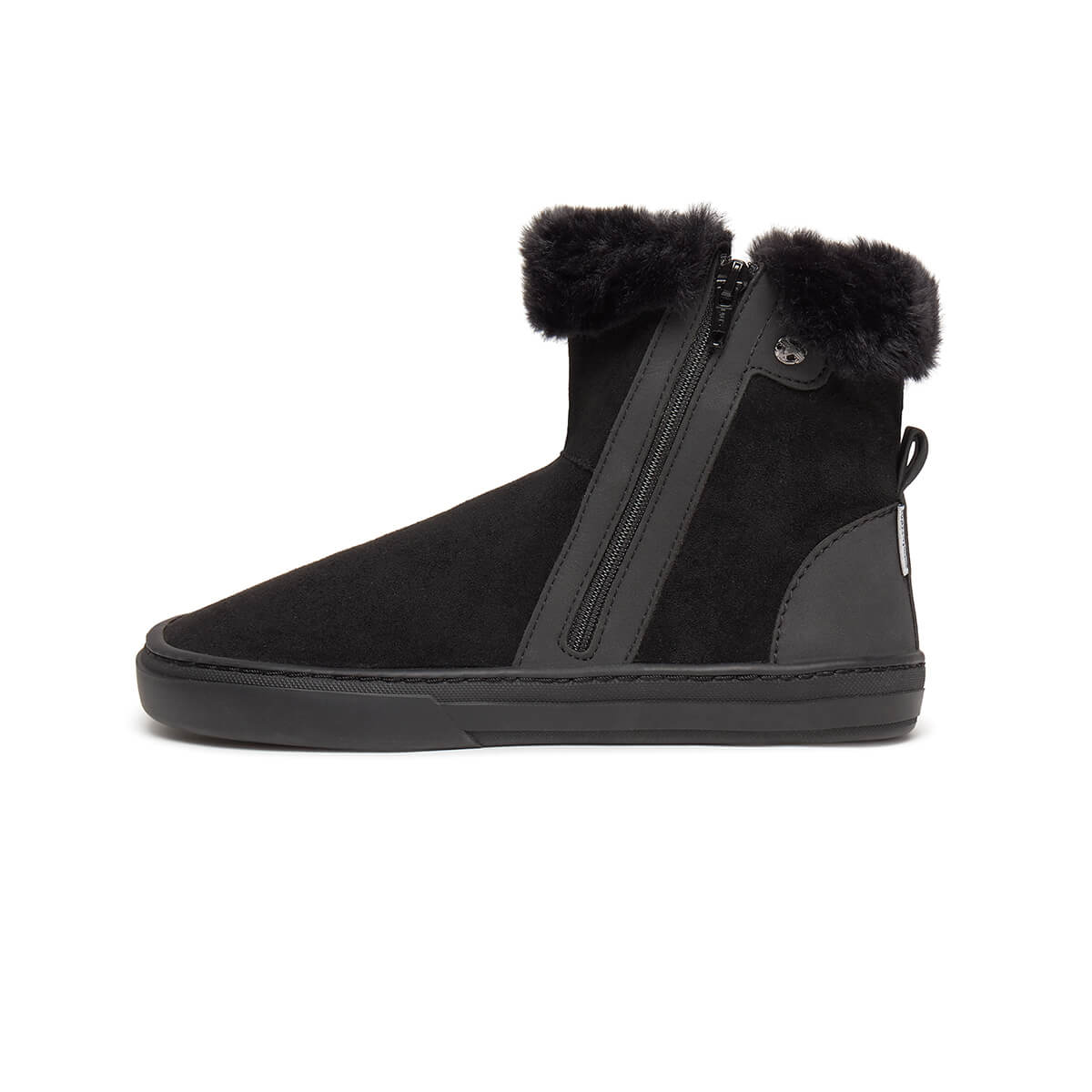 Alcoy Adulto - Image 22