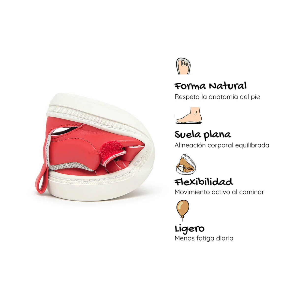 Tabarca Rocker - Image 29