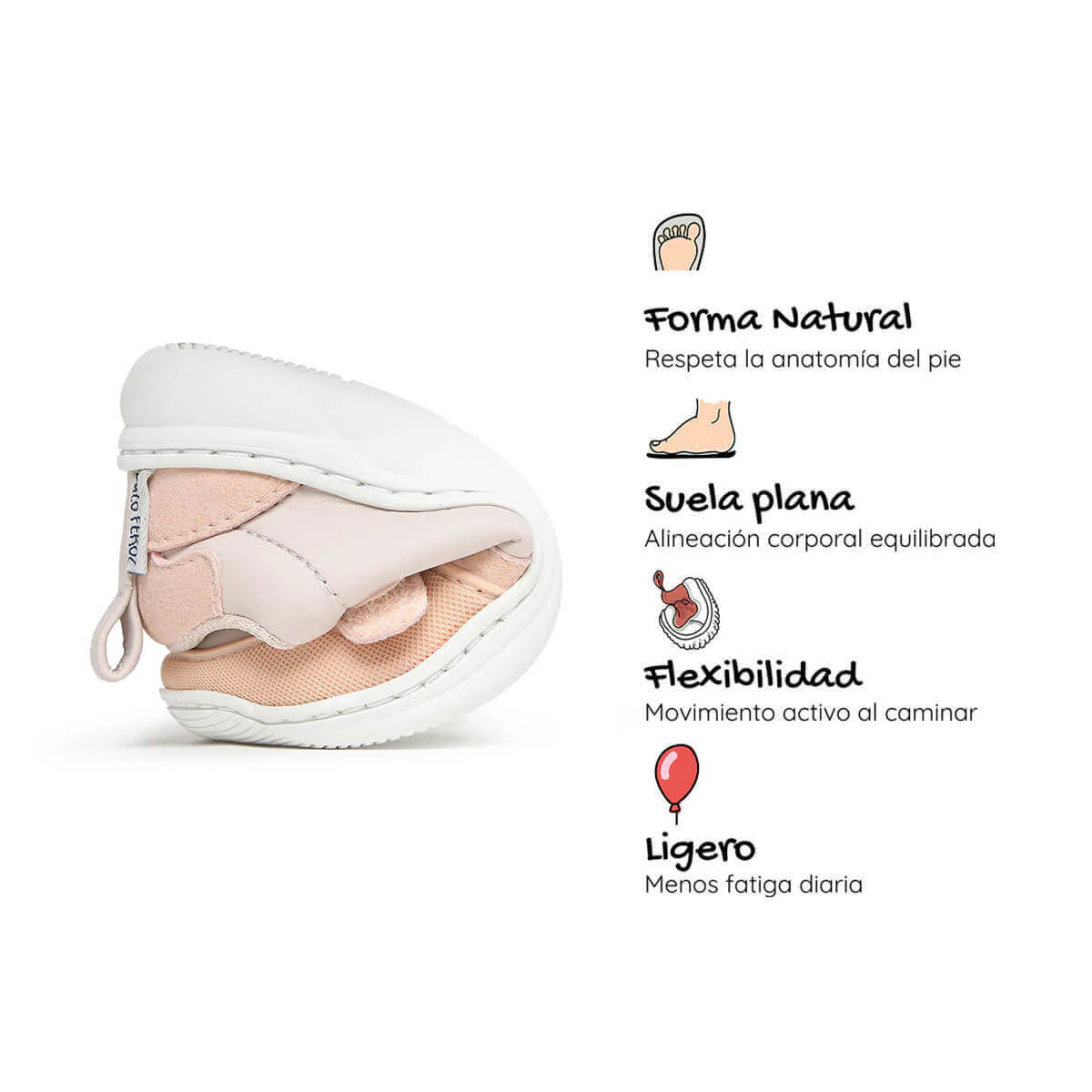 Olocau Feroz - Image 14