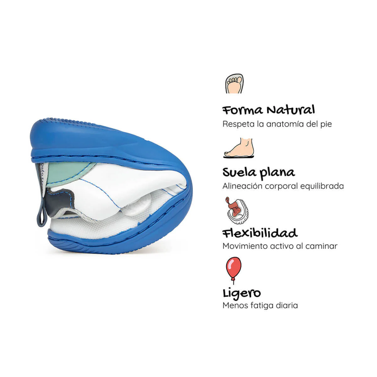 Olocau Feroz - Image 20