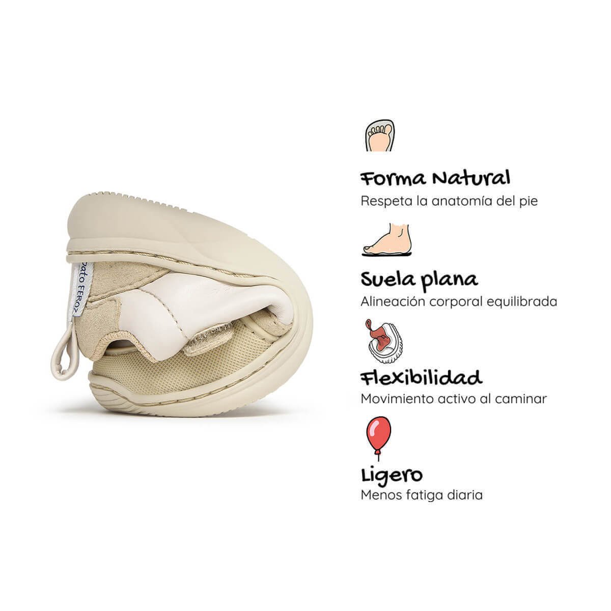 Olocau Feroz - Image 8