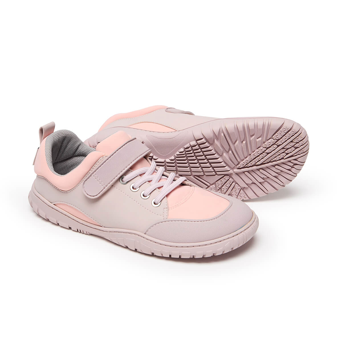 Ibi Adulto - Image 35