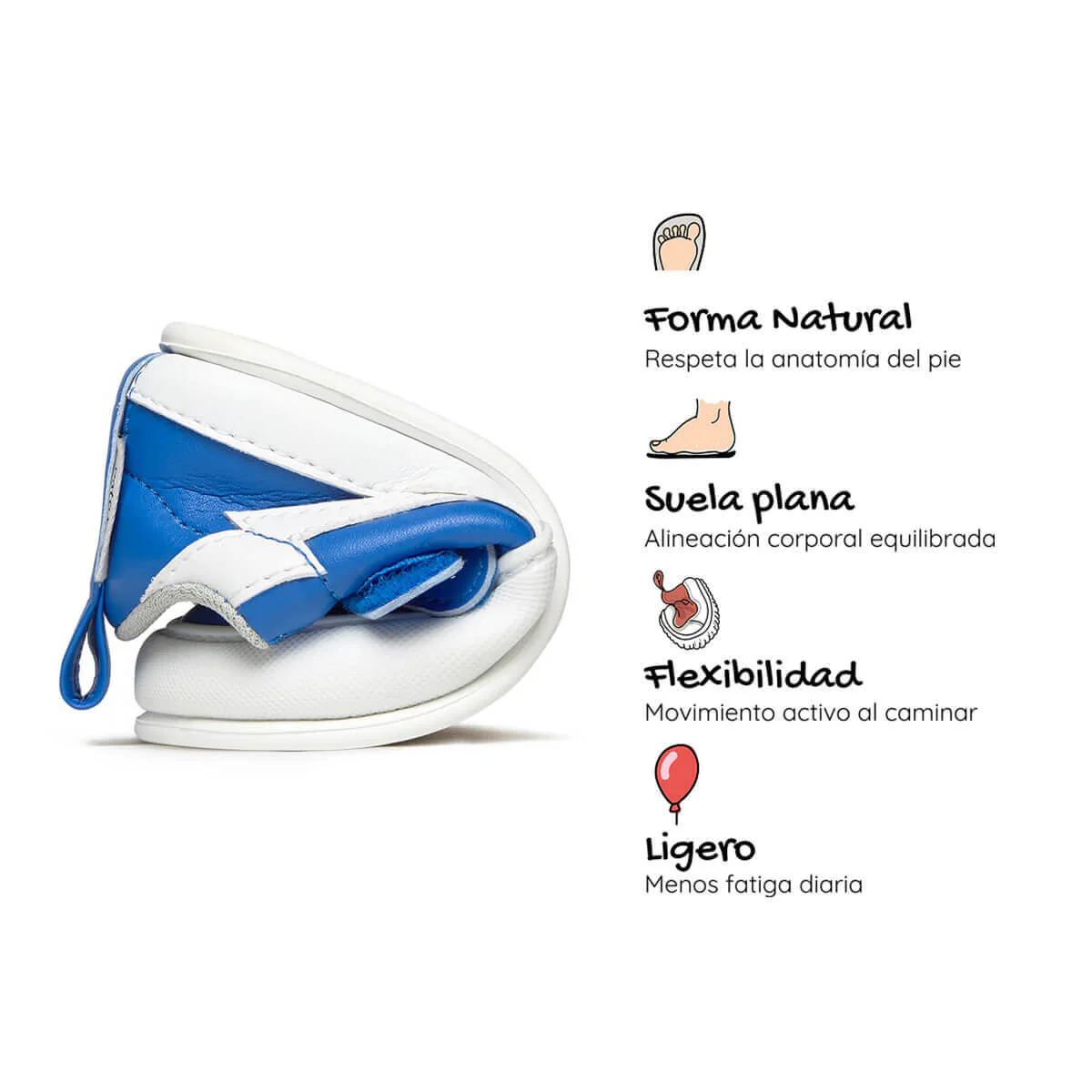 Moraira Feroz - Image 32