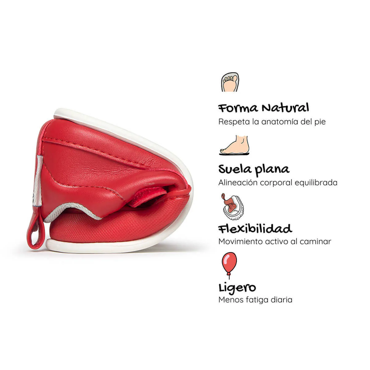 Moraira Feroz - Image 42