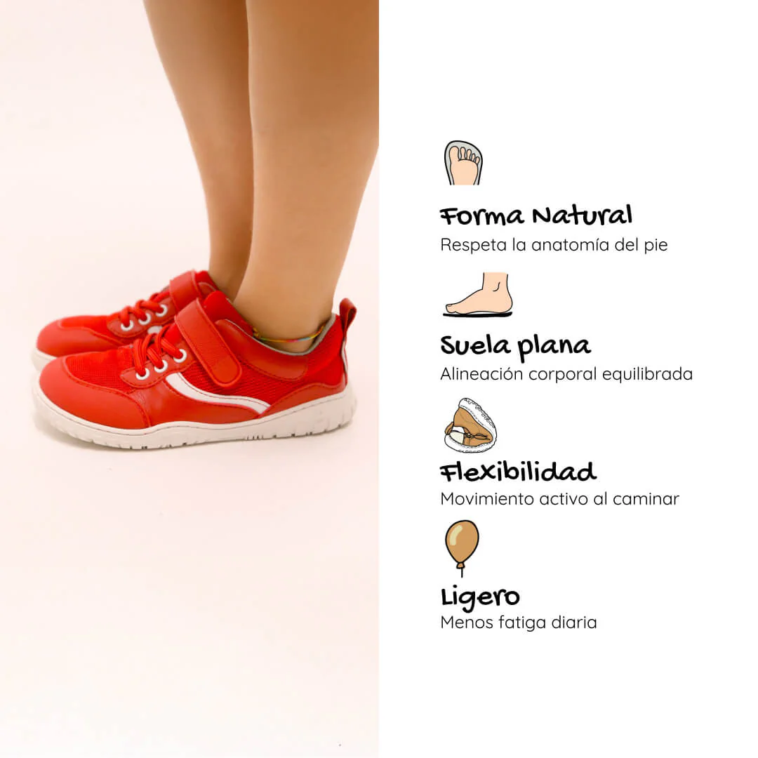 Biar Rocker - Image 25