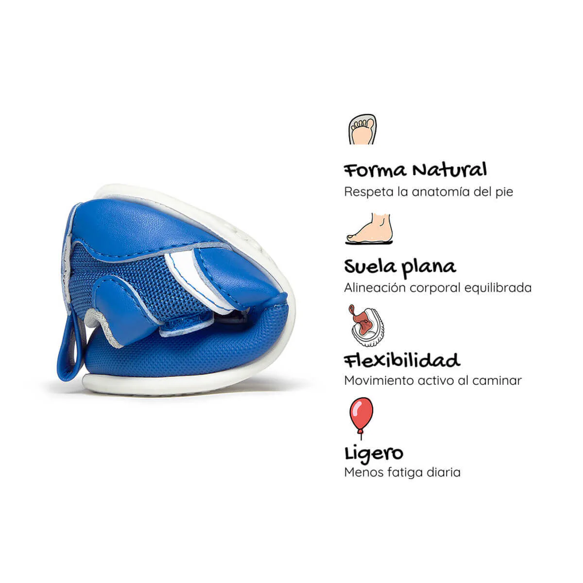 Biar Feroz - Image 12