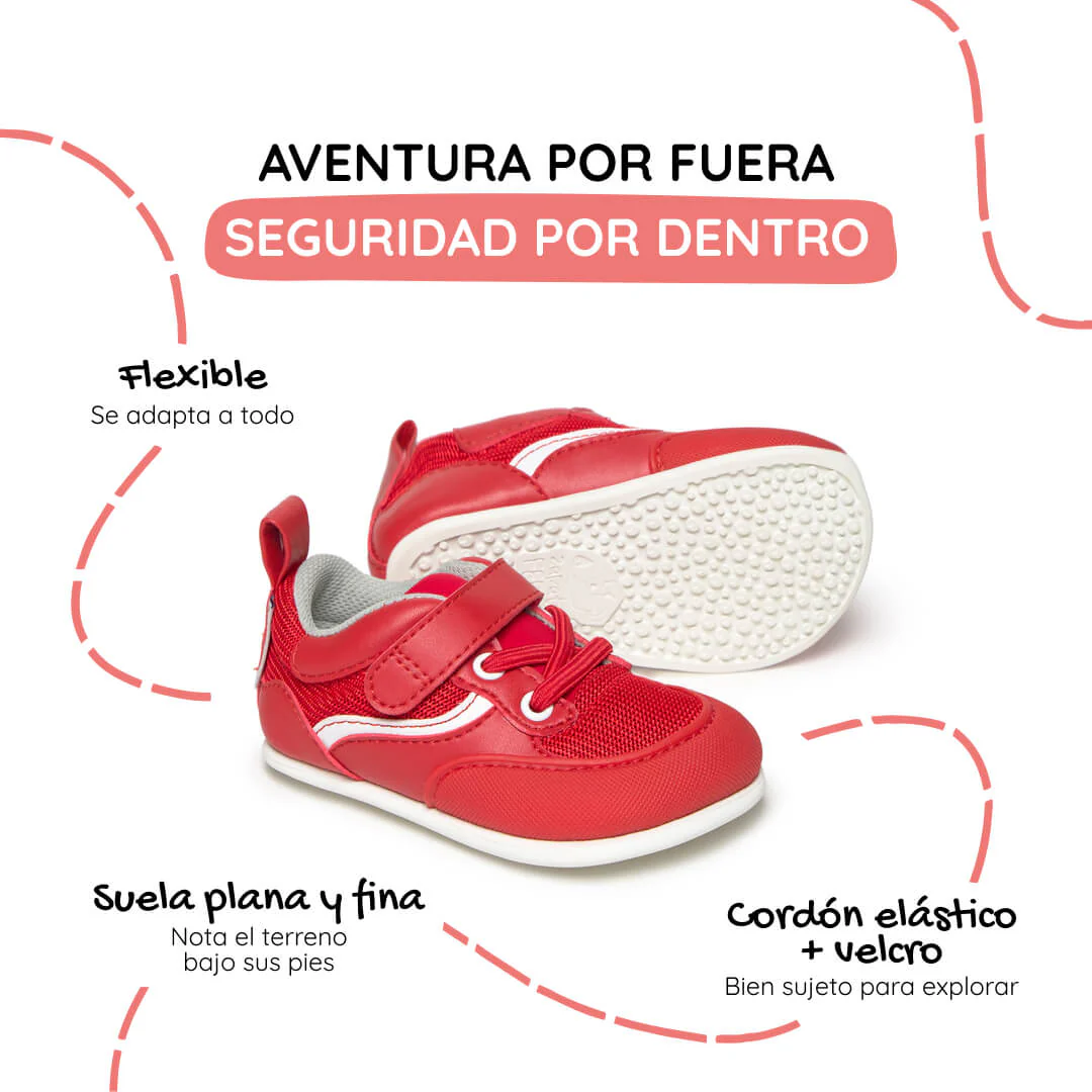 Biar Feroz - Image 14