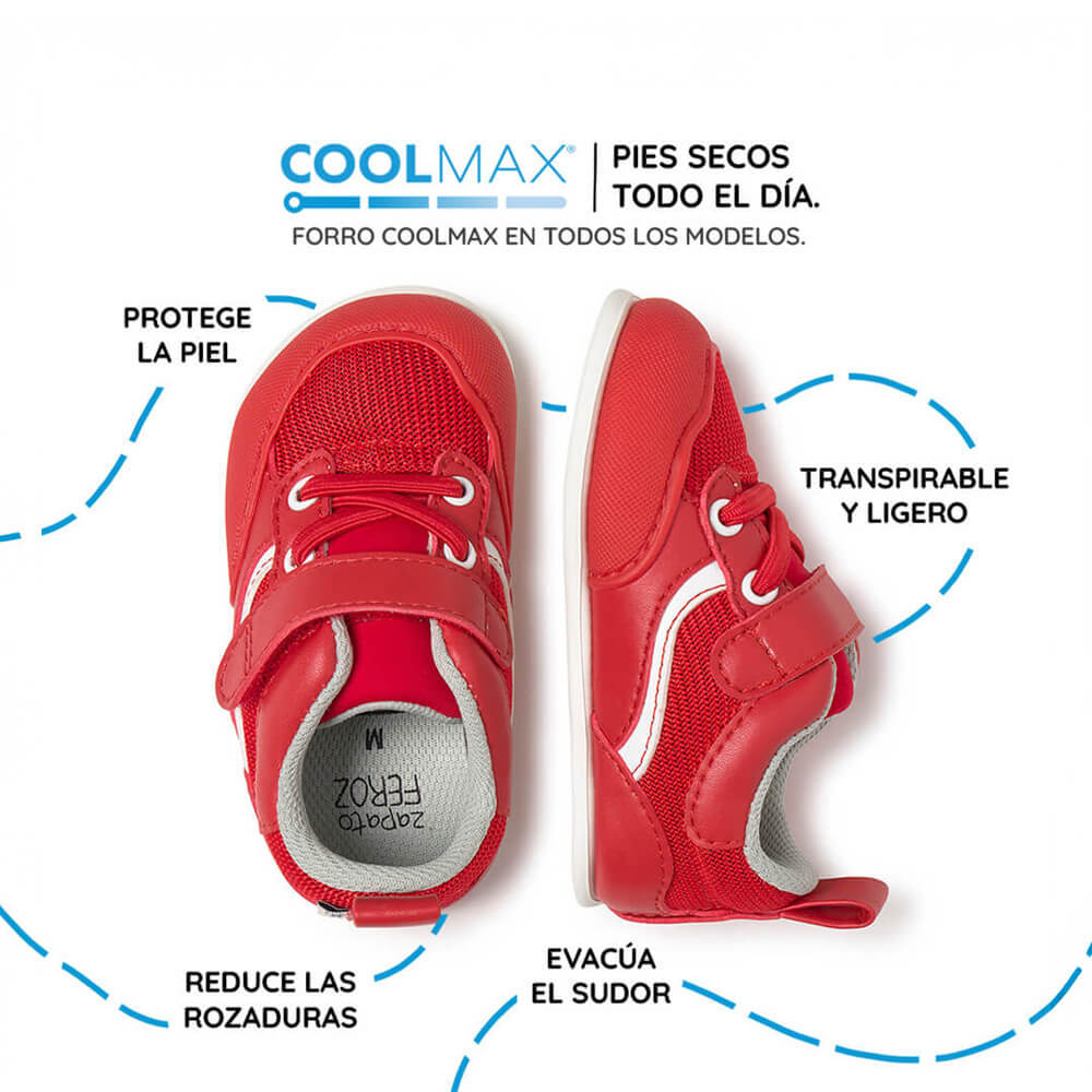 Biar Feroz - Image 16