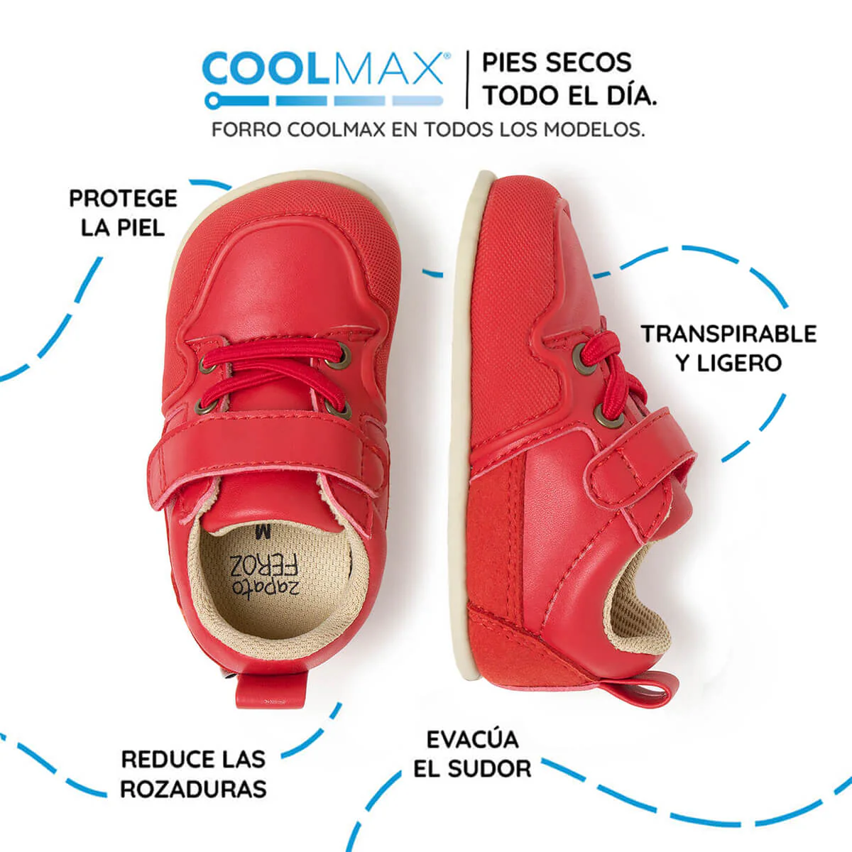 Cheste Feroz - Image 29