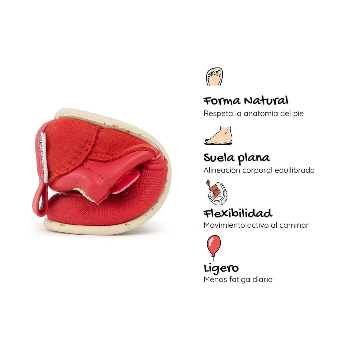 Cheste Feroz - Image 30